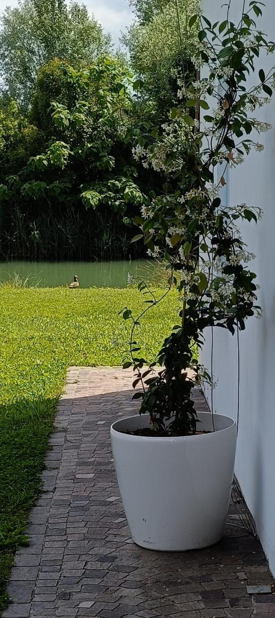 ホテル Locazione Riv'Al Sile Quinto Di Treviso エクステリア 写真